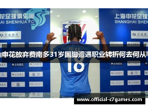 申花放弃费南多31岁国脚遭遇职业转折何去何从