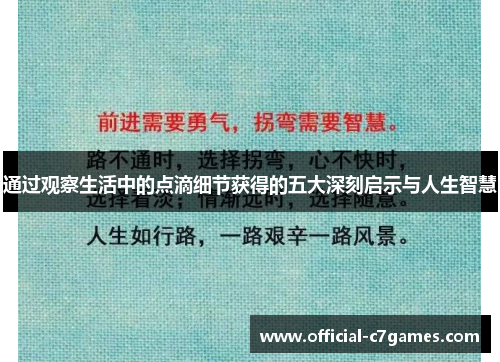 通过观察生活中的点滴细节获得的五大深刻启示与人生智慧