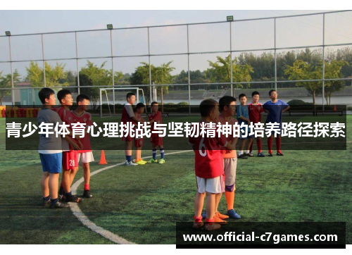 青少年体育心理挑战与坚韧精神的培养路径探索 青少年体育心理挑战与坚韧精神的培养路径探索